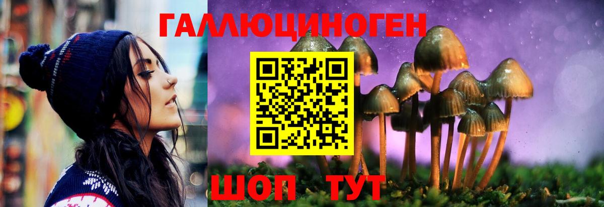 Шатура  Галлюциногенные грибы GOLDEN TEACHER  Вход с VPN 